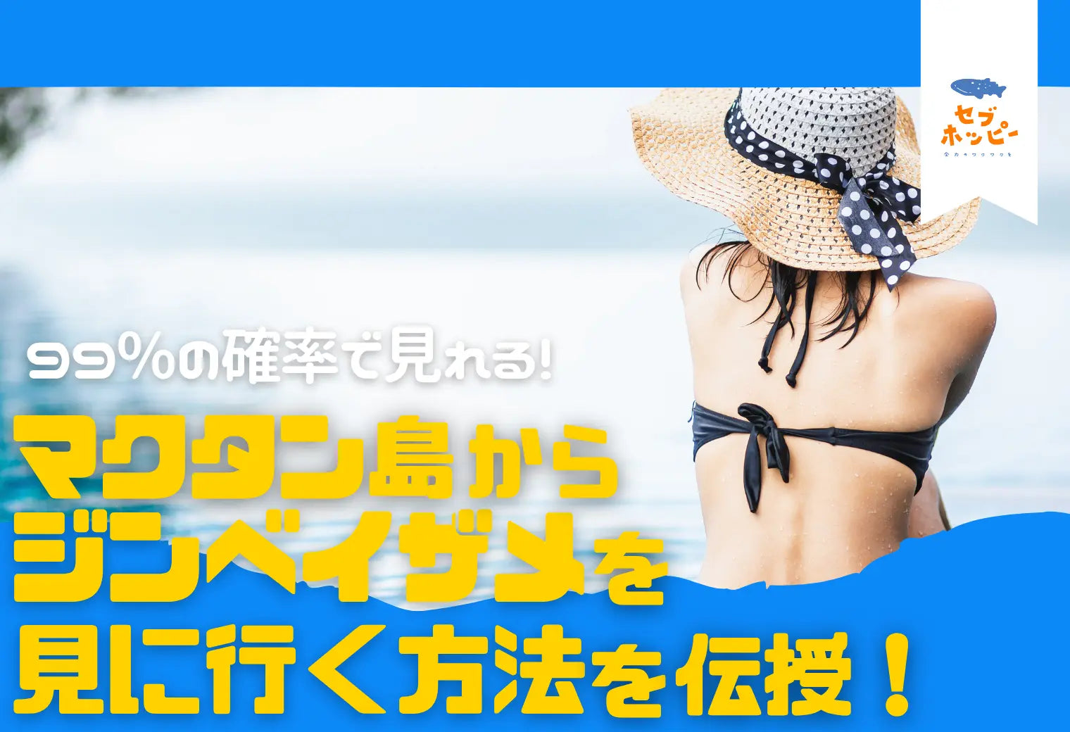 マクタン島 ジンベイザメ 見に行く方法