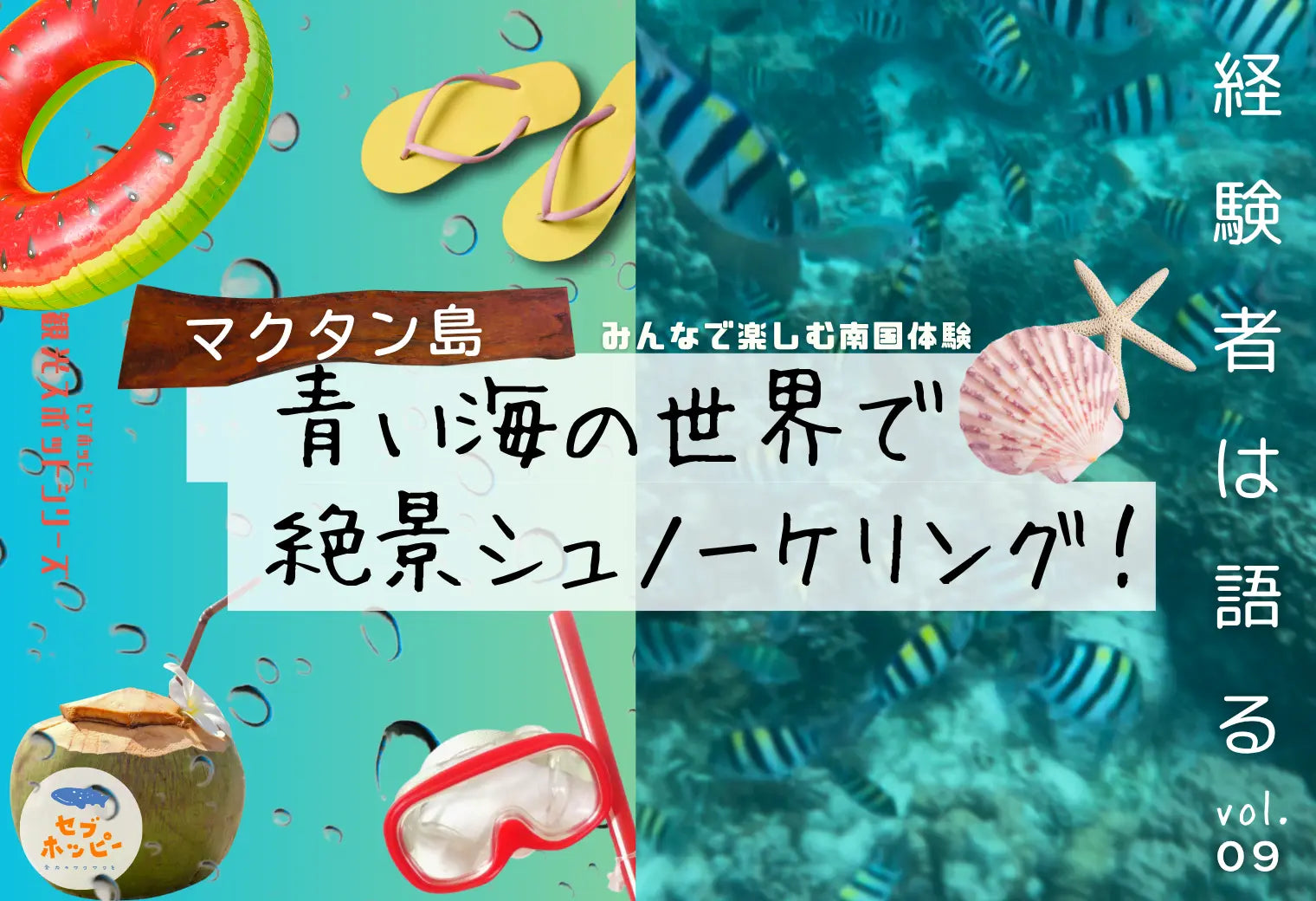 マクタン島 シュノーケリング スポット
