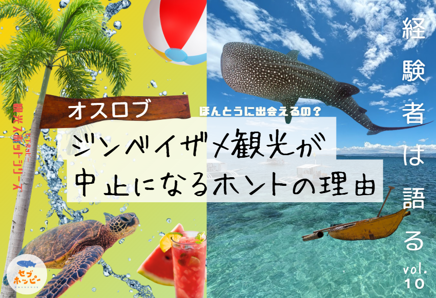 オスロブ ジンベイザメ 中止