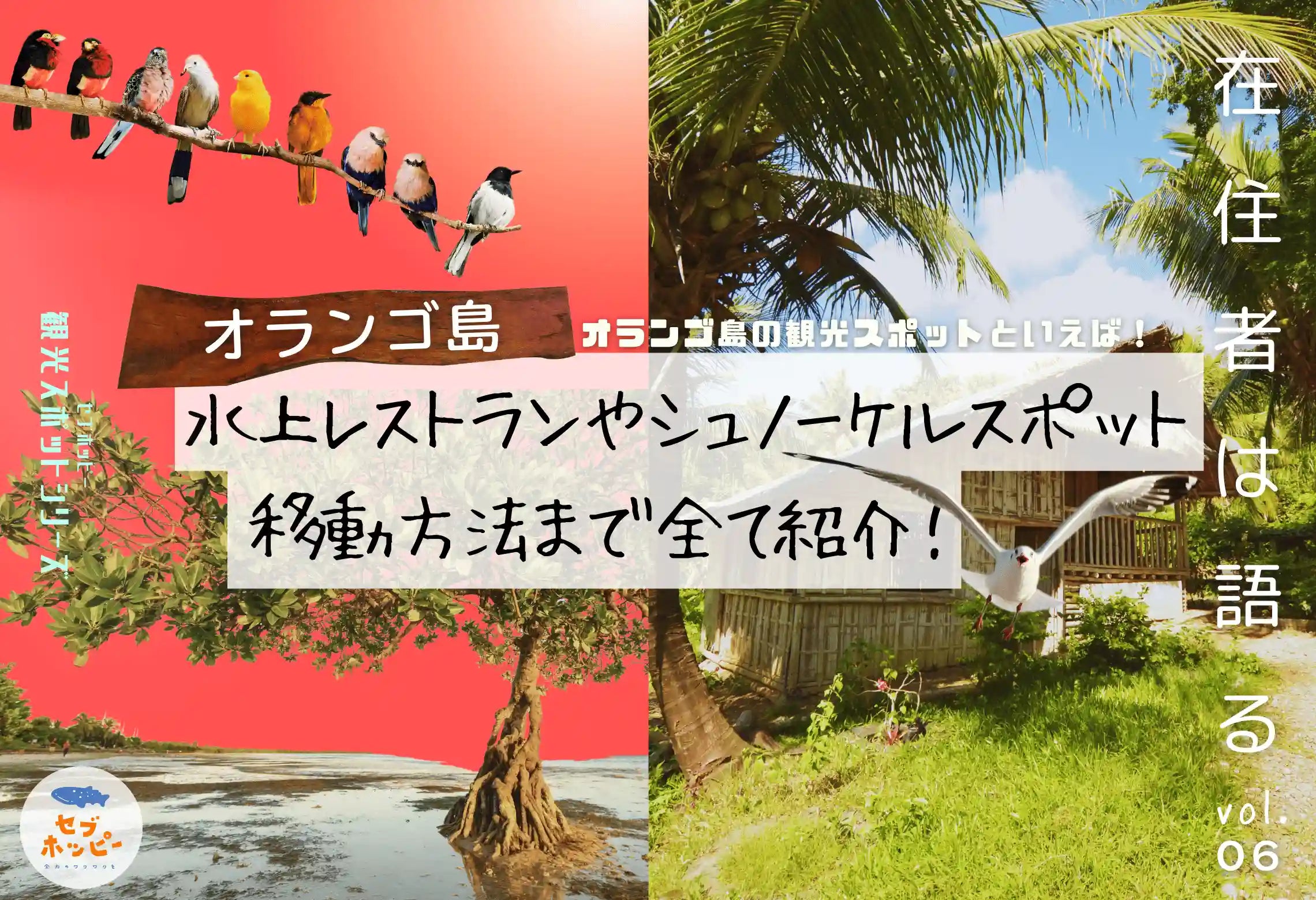 オランゴ島 観光スポット アイランドホッピング